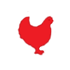 گوشت مرغ